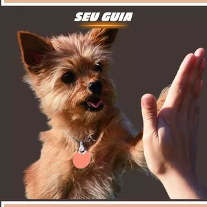 Imagem de capa para o Ebook  Seu Guia para um Treinamento Positivo