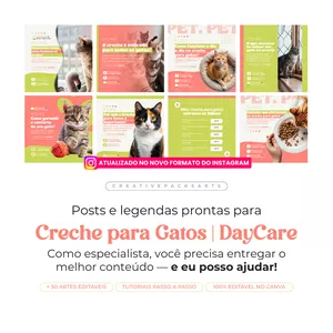 Imagem de capa para o Curso online PACK PARA CRECHE PARA GATOS (DAYCARE)