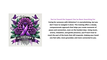 Alzheimer's Wake-Up-the-Brain Process Training