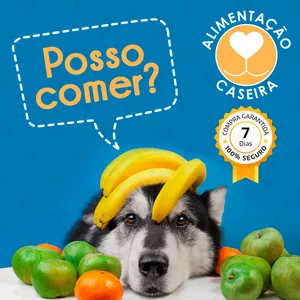 Imagem de eBook Alimentação Caseira para Cães criado por Bruno Bastos Magalhães na hotmart