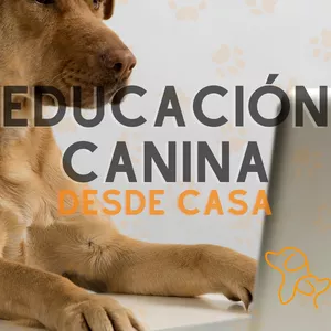 Imagen de portada para Ebook Herramientas prácticas para entender y manejar a tu perro