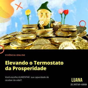Imagem de capa para o Curso online Vivência Online - Elevando o Termostato da Prosperidade