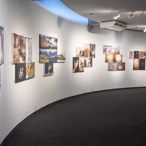 Imagem de capa para o Ebook A Arte da Exposição