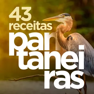 Imagem de capa para o Ebook 43 Receitas Pantaneiras