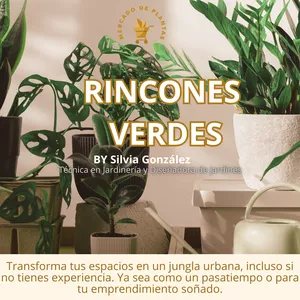Imagen de portada para Ebook Rincones Verdes La guía más completa de plantas de interior.