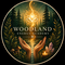 Woodland Energy Academy (CE Broker Provider#: 50-46485)