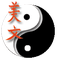 Tao to Wellness 