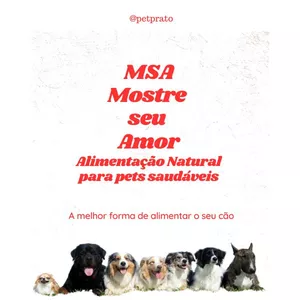 Imagem de capa para o Curso online Mostre Seu Amor com a Alimentação Natural para Pets 