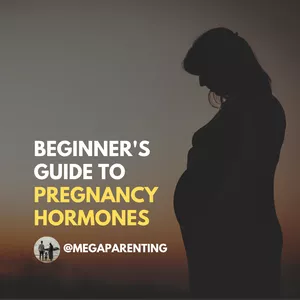 Cover image for Online course Beginner's Guide to Pregnancy Hormones