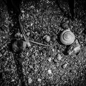 Imagem de capa para o Curso online Quadro Concha