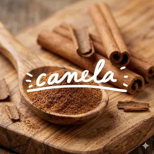 Imagem de capa para o Ebook Protocolo TDC