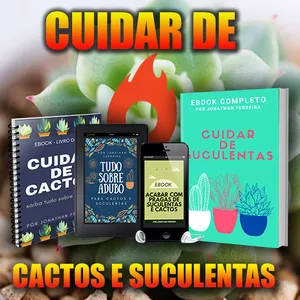 Imagem de capa para o Ebook Cuidar de Suculentas e Cactos - 4 Guias Digitais