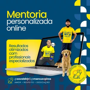 Imagem de capa para o Serviço online Consultoria Online Individual e Personalizada