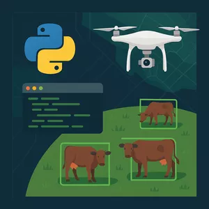Imagem de capa para o Curso online Python do Zero à Detecção de Objetos em Filmagens