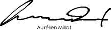 Aurelien Millot Online