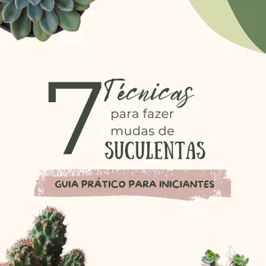 Imagem de capa para o Ebook 7 técnicas para fazer mudas de suculentas