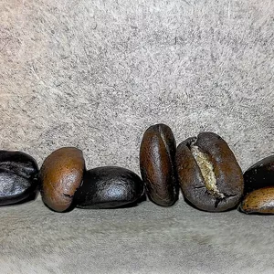 Cover image for Online course Coffee Beans 