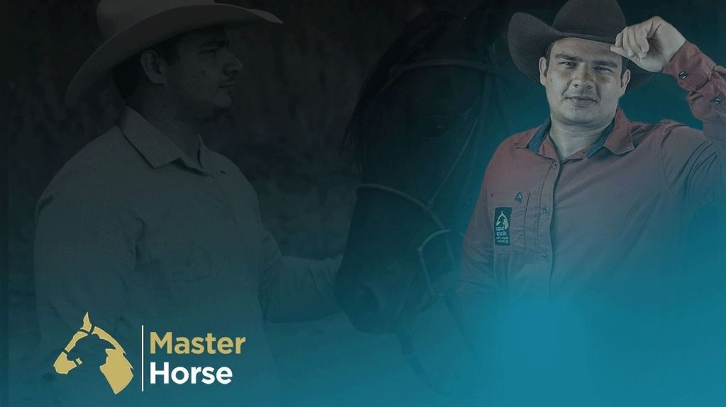 Vem Ser Master Horse