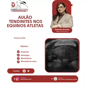 Curso 🐎 AULÃO VET – Tendinites em Equinos Atletas - Medica Veterinária Dra. Gabriela Guenka
