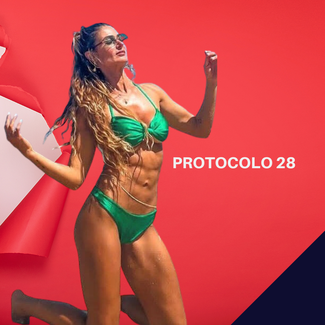 Protocolo 28
