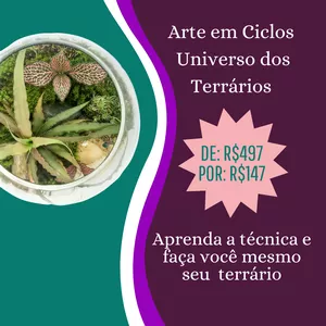 Imagem de capa para o Curso online Arte em Ciclos - Universo dos Terrários