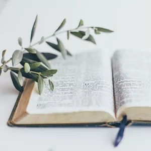 Imagem de capa para o Ebook Florescer em Deus