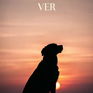 Imagen de portada para Ebook Libro digital Hasta que nos volvamos a ver