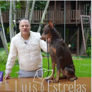 Imagem do curso Estrelas Animais | Higienização