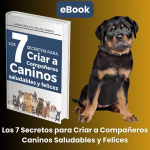 Imagen de portada para Ebook Los 7 secretos para Criar a Compañeros Caninos Saludables y Felices