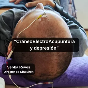 Imagen de portada para Curso online Masterclass “CraneoElectroAcupuntura y Depresión"
