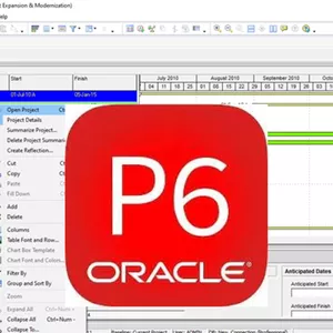 Imagem do curso Combo Treinamento terórico + vídeo de Instalação do Primavera P6 Professional