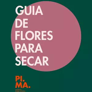 Imagem de capa para o Curso online Dicionário flores e plantas para desidratar 