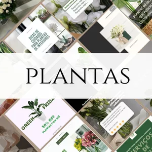 Imagem de capa para o Curso online Feed de Sucesso - Jardinagem, Flores e Plantas