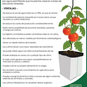 Imagen de portada para Curso online Como cuidar mi huerta 