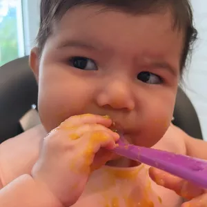 Imagen de portada para Curso online Proceso Alimenticio