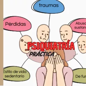 Imagen de portada para Ebook Manual Psiquiatria practica