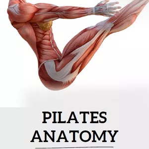 Cover image for Ebook Pilates Anatomy