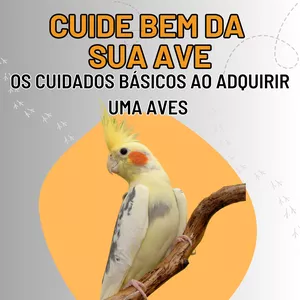 Imagem de capa para o Ebook CUIDE BEM DA SUA AVE