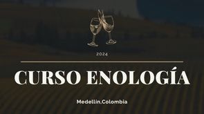 CURSO DE ENOLOGIA