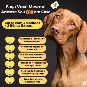 Imagem de capa para o Curso online Seu Cão Adestrado em 2 Semanas.
