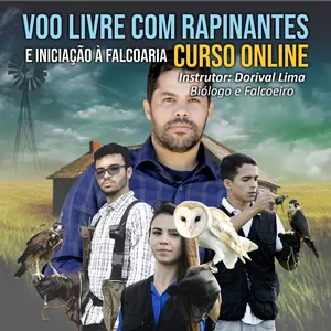 Imagem de capa para o Curso online Falcoaria e Voo livre com rapinantes | Dorival Lima