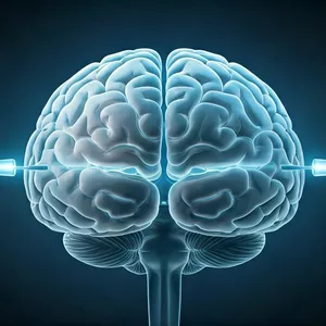 Imagem de capa para o Ebook Princípios de Neurociências