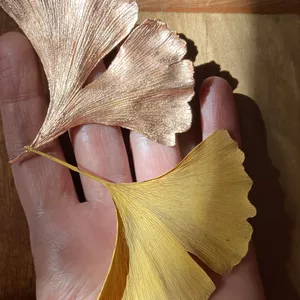 Imagem de capa para o Curso online Eletroformação em cobre para joalheria e pequenos objetos