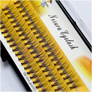 Imagen de portada para Curso online Nesura Eyelash