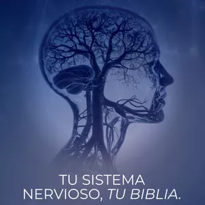 Imagen de portada para Curso online Reto tu sistema nervioso, tu biblia