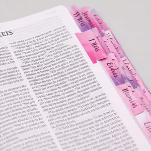 Imagem de capa para o Curso online Aba com os Nomes dos Livros da Bíblia, Imprima, Recorte e Cole (Evangélica e Católica) + Bônus