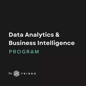 Imagen de portada para Curso online Data Analytics & BI Program