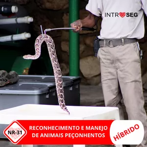 Imagem do curso Animais Peçonhentos - 08h - Híbrido - Reconhecimento e manejo