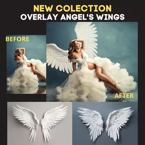 Cover image for Online course New Angel Wing Overlay Collection
