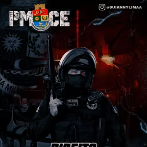Imagem de capa para o Ebook APOSTILA DE QUESTÕES - DIREITO ADMINISTRATIVO PROF.SUIANNY LIMA 